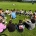Curso de verano en el extranjero en Athlone Irlanda